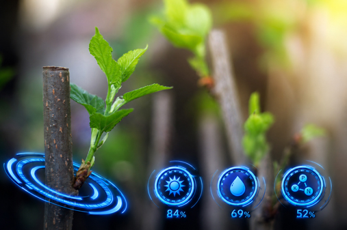 Forestry Technology, Drone GIS & Analytics